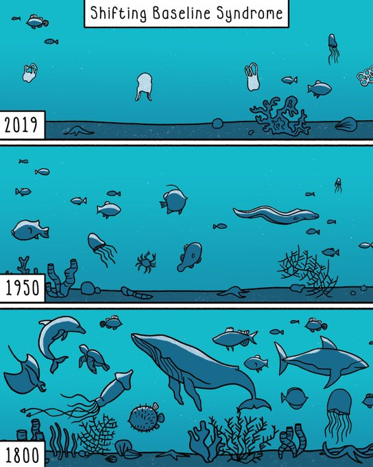 ECOWARRIORSS's tweet photo. In other words in just a few decades
Humans are undoing 3 billion years of ocean life

an ocean which may be devoid of life in just 30 years 

And Capitalists think this is sustainable 

and demand even more economic growth https://t.co/2VBzx2V8Gj https://t.co/qvSGg3eJrX