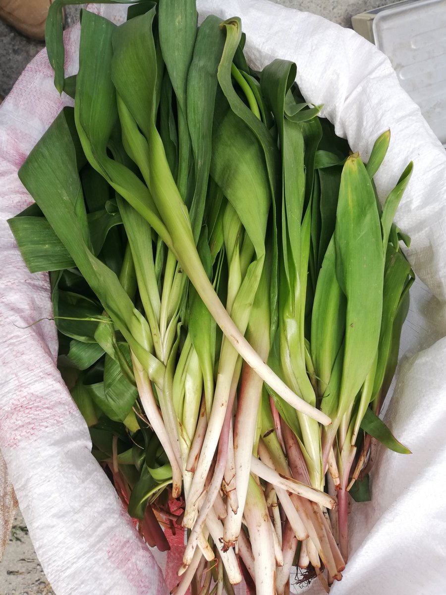 Lûşik
Soryaz
Çûrîn

#Bidlîs