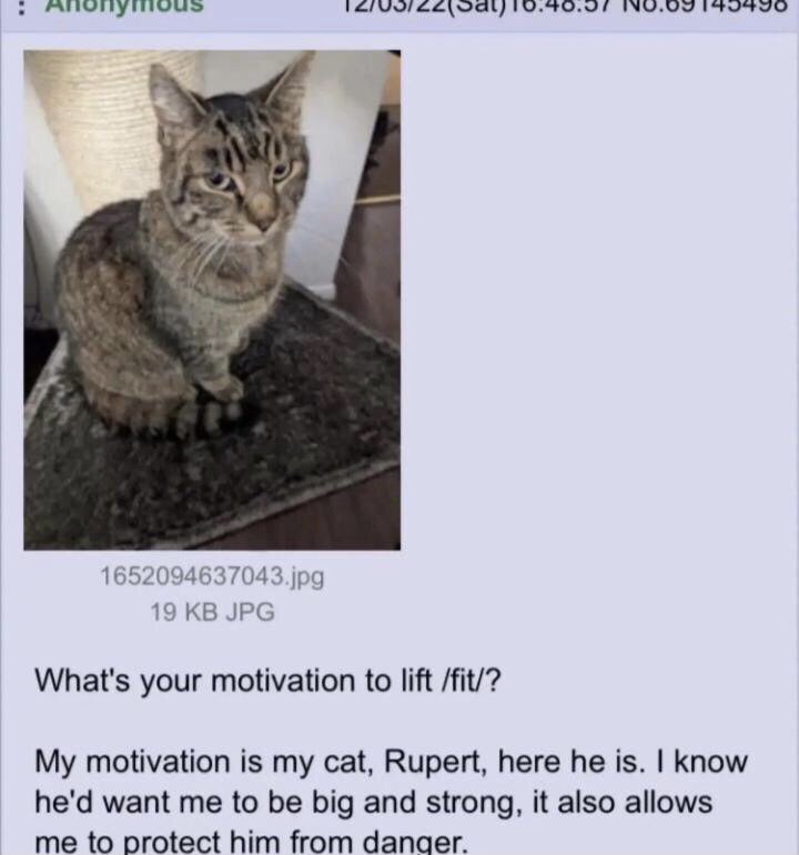 RespectfulMemes's tweet photo. https://t.co/KGlaKml0JQ