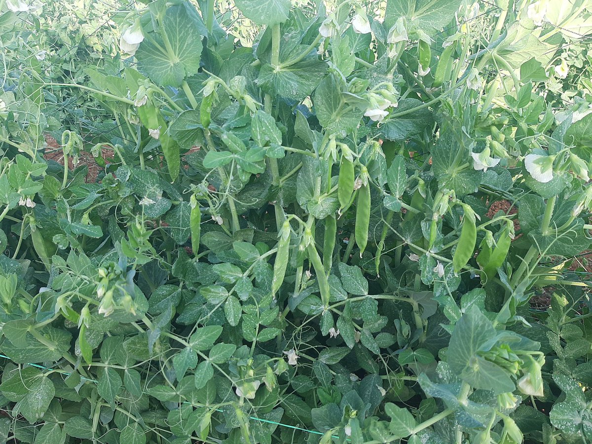 That time of the year where quality pays