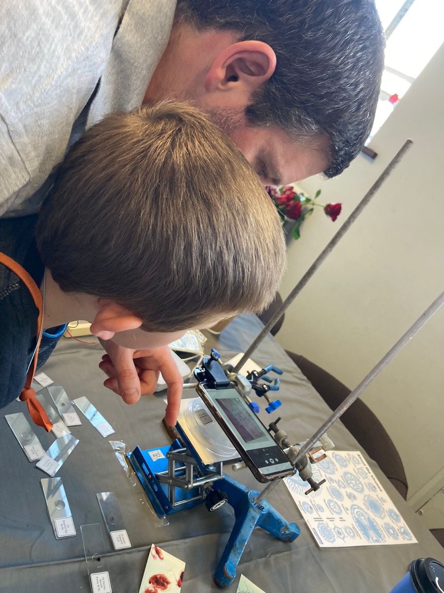 FontanaLab tweet media