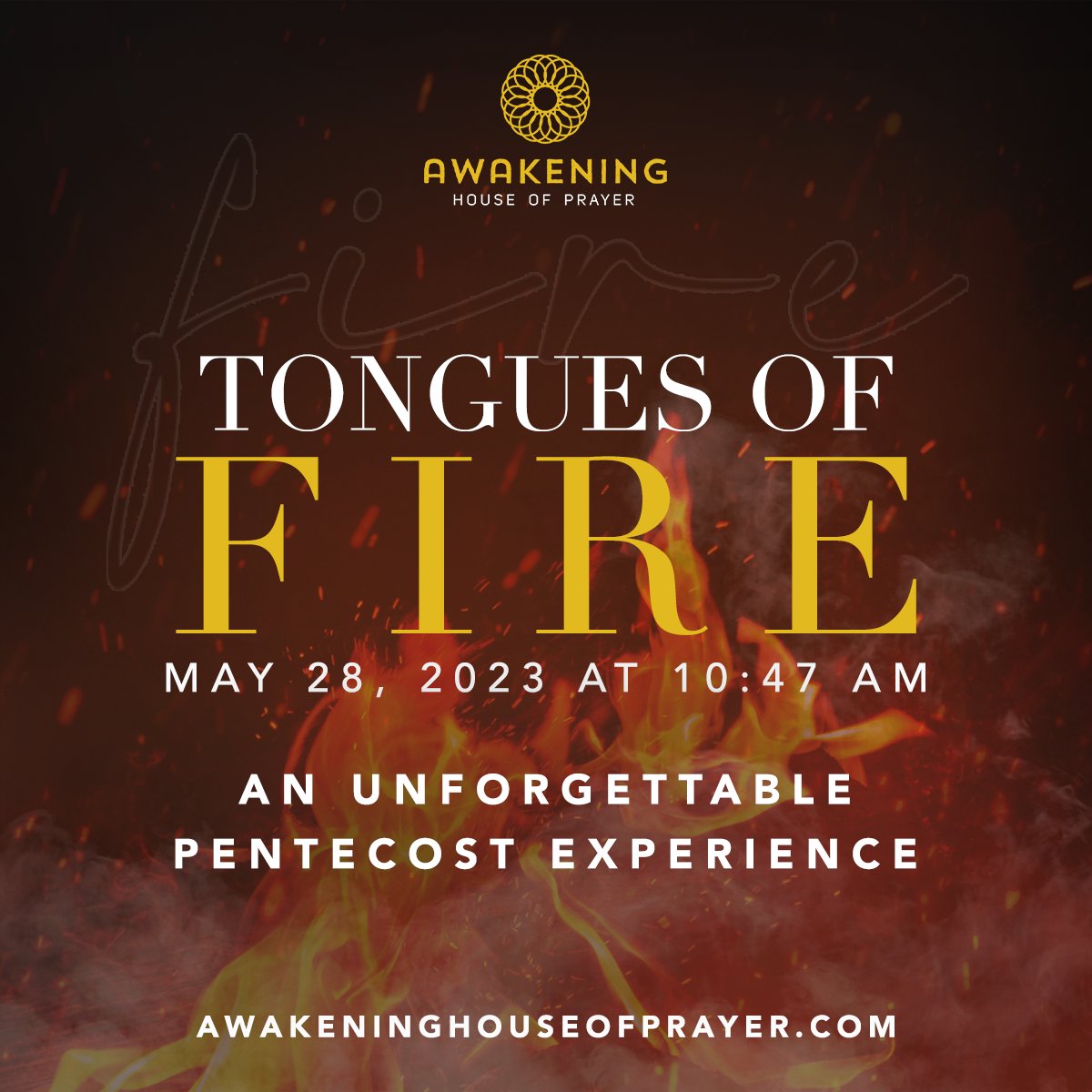 propheticbooks's tweet image. The baptism of fire will change you forever! f you haven't experienced our PENTECOST service, you don't know what you are missing. Get registered. Get on a plane. Or watch online. Register jenniferleclaire.org/events #pentecostsunday #tonguesoffire #pentecost #jenniferleclaire