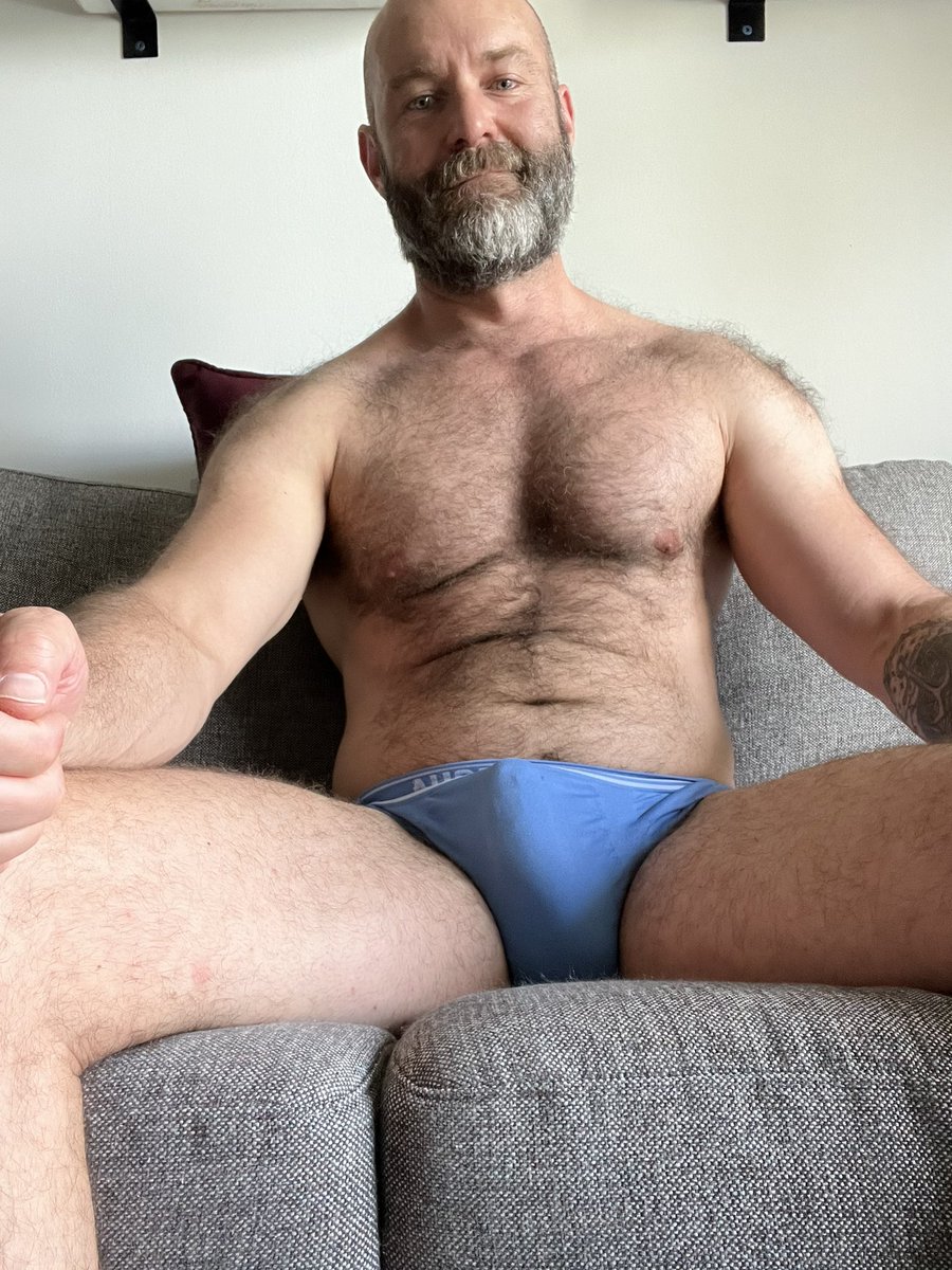 blueheeler tweet media