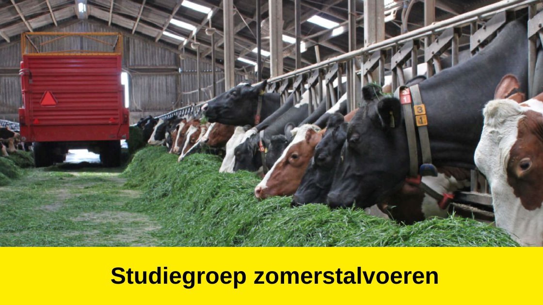 🐄 Studiegroep zomerstalvoeren, binnenkort zijn er 3 bijeenkomsten. Het thema is mechanisatie. Er zullen 4 verschillende combinaties aanwezig zijn; de zerograzer, opraapwagen met balkeninvoer, opraapwagen met rotorinvoer en een messenbalk frontmaaier. 👉 bit.ly/3FKGxyM