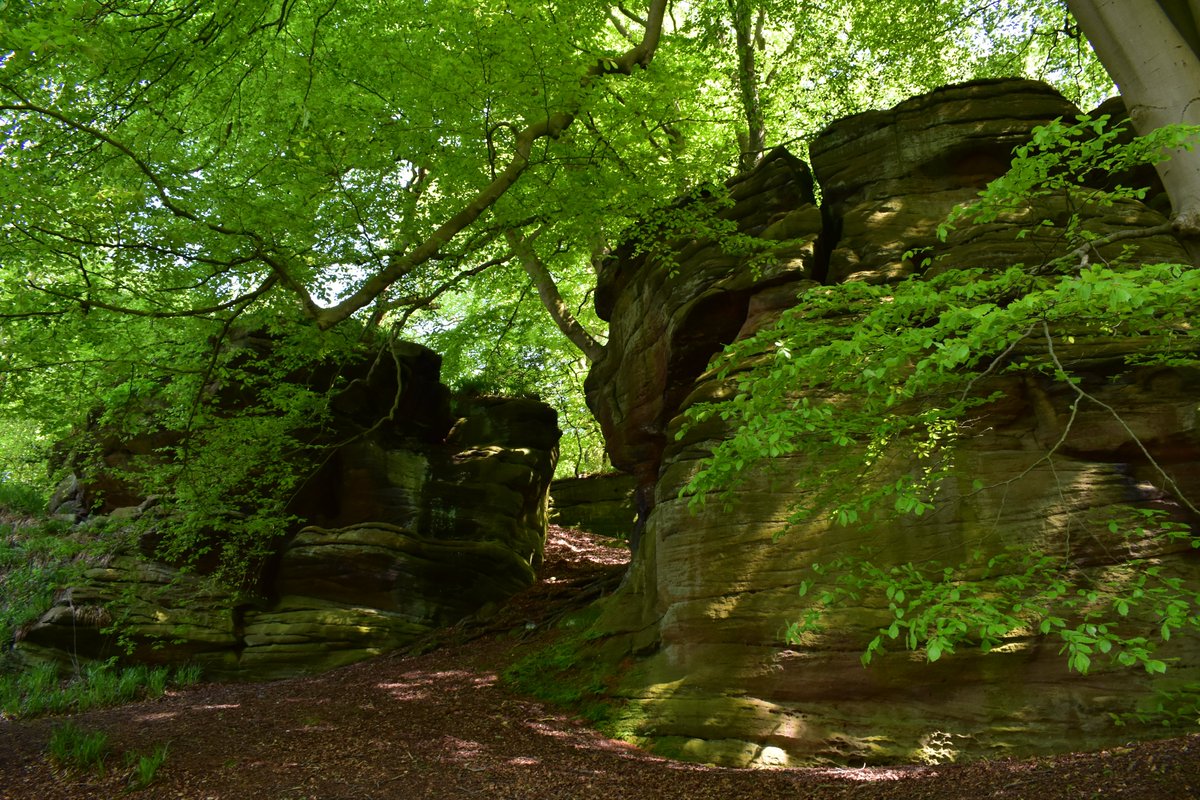 I Retweet Art 🎨🖌️ on Twitter: