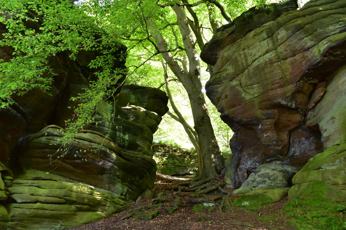 I Retweet Art 🎨🖌️ on Twitter: