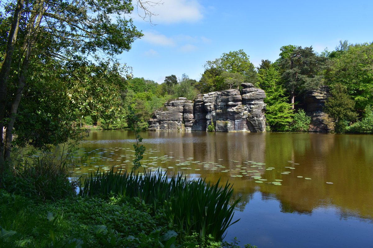 I Retweet Art 🎨🖌️ on Twitter: