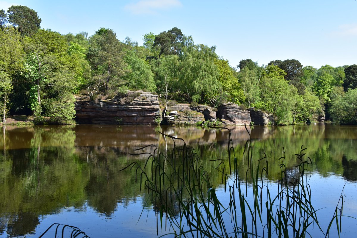 I Retweet Art 🎨🖌️ on Twitter: