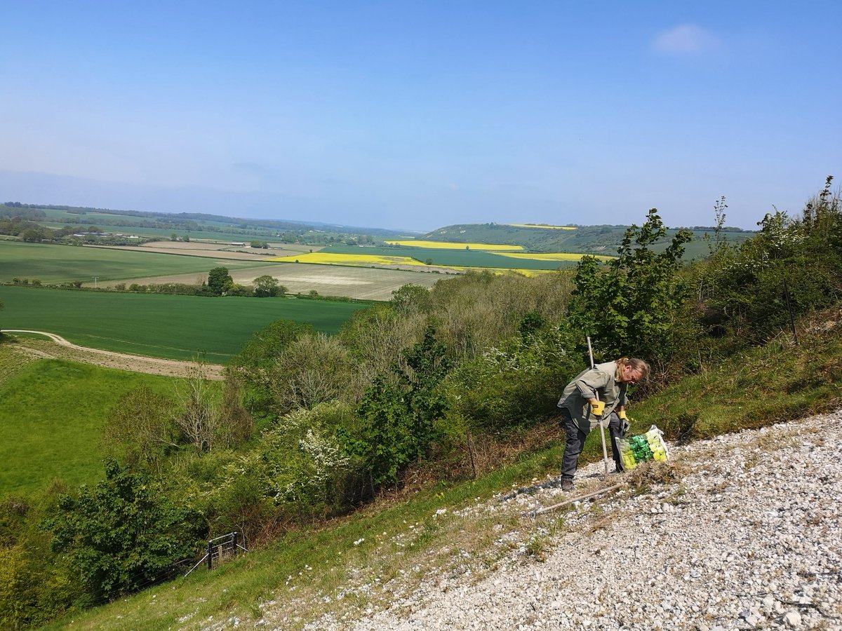 Helen Roberts 💙 tweet media