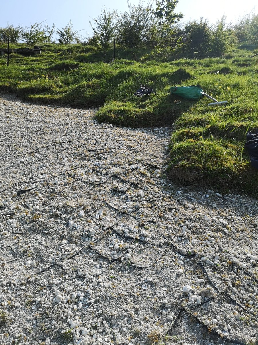 Helen Roberts 💙 tweet media