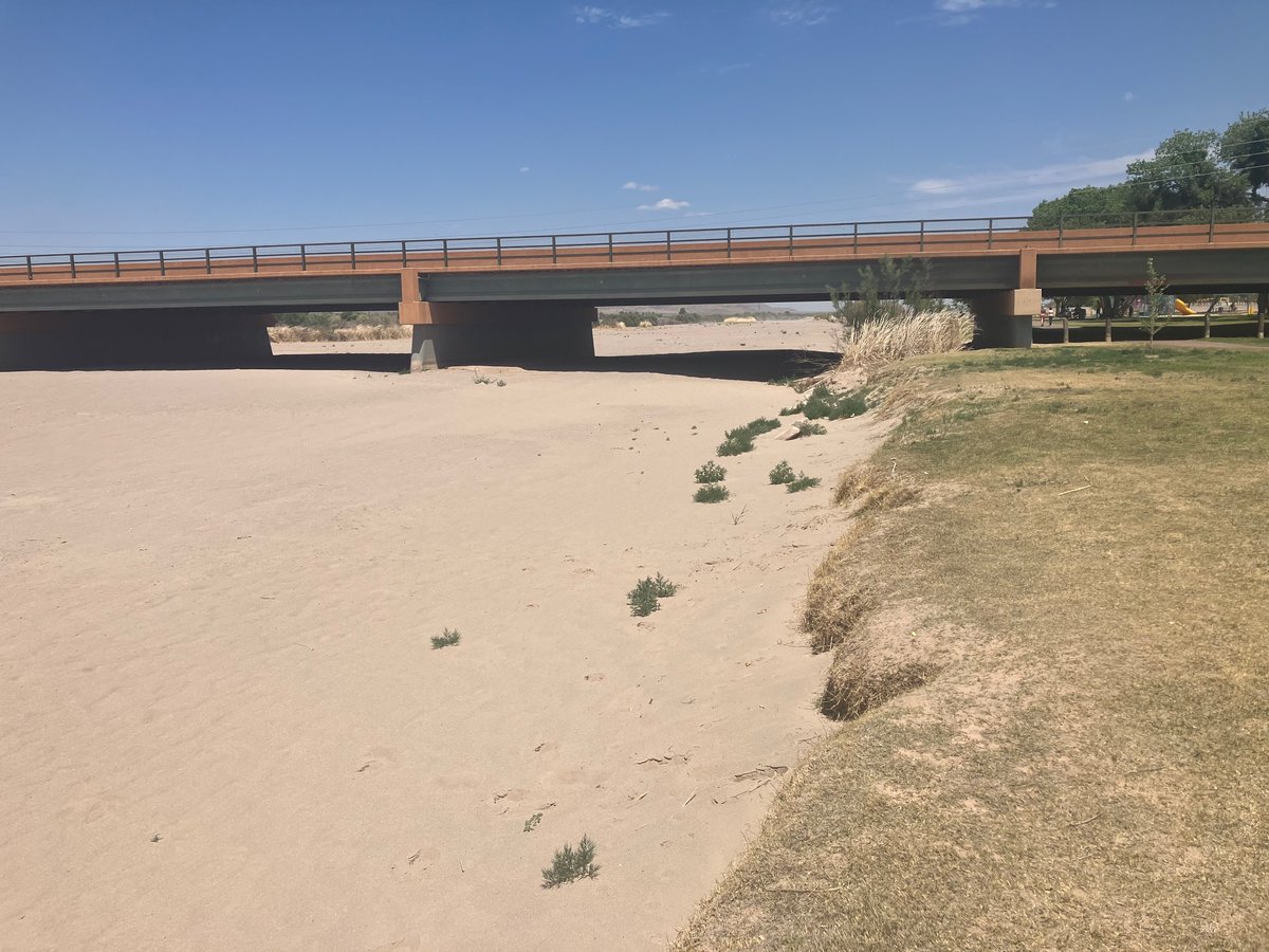 Love the fact that there’s a whole crew of folks waiting for the river at Picacho Bridge 

Still sandbed for now