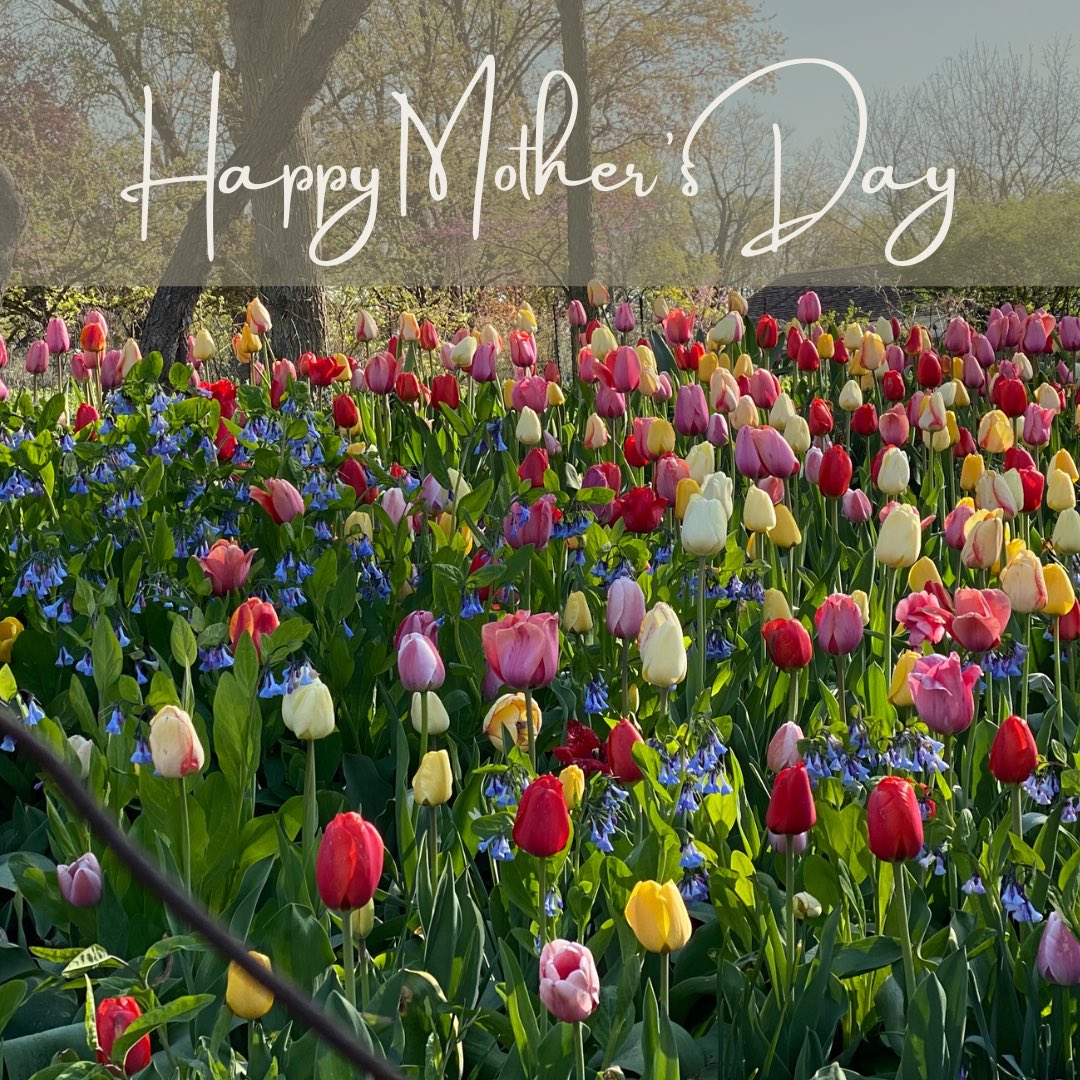 SurrogacyTale's tweet image. For all the #surrogatemothers and #intendedmothers — Happy Mother’s Day!