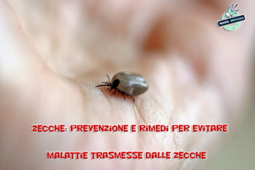 pest_for's tweet photo. ‼️ Zecche: prevenzione, rimedi naturali e chimici per evitare malattie trasmesse dalle zecche

✅
https://t.co/oTlbx7vSvm

#forpropest #zecche #insetti #infestazione #giardino #animali #cani https://t.co/a64RnigzvY