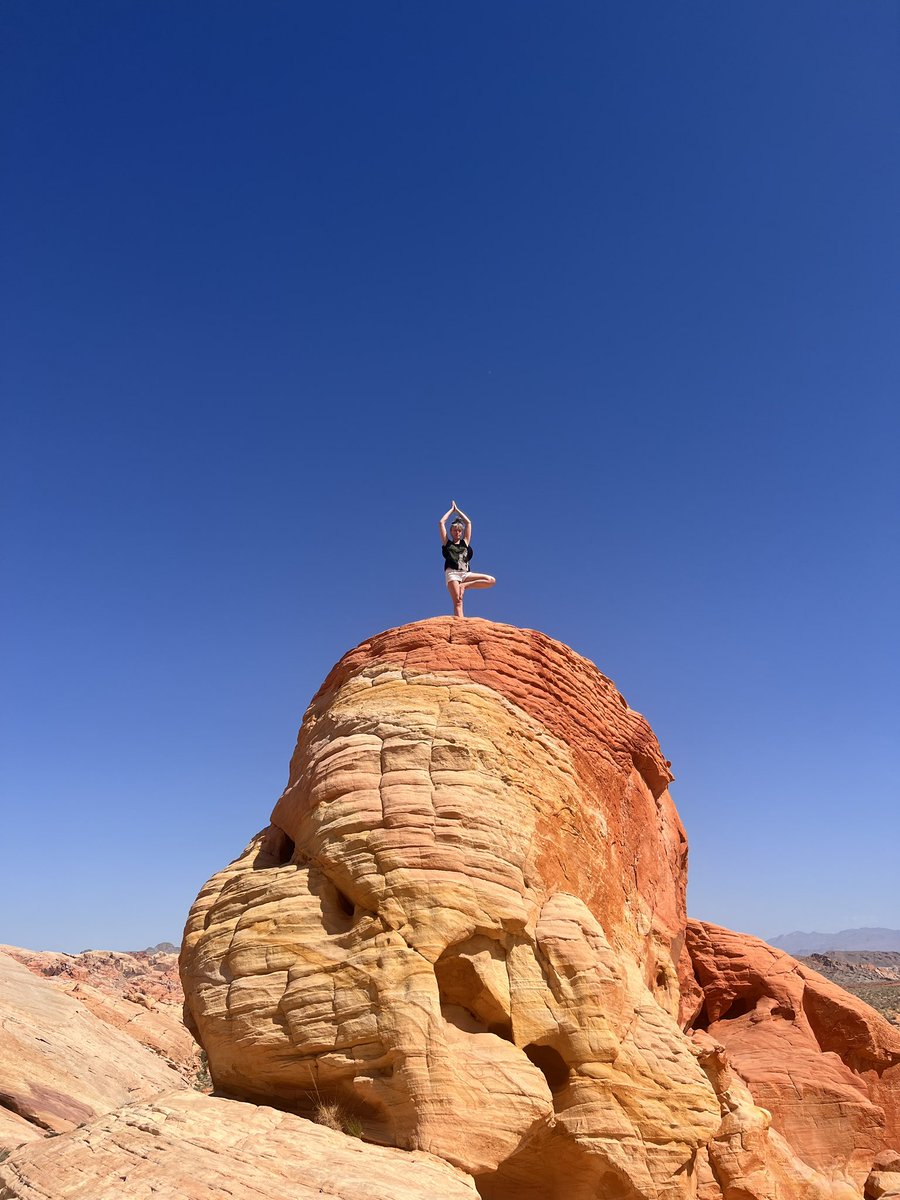 Nicole Bross 🇺🇦BSKY @brossypants.nicolebross.com tweet media