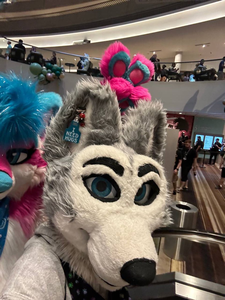 ShinzuFoxx's tweet photo. Got him lacking… #4ears
@DaytonaHusky https://t.co/H9mM8pL57c