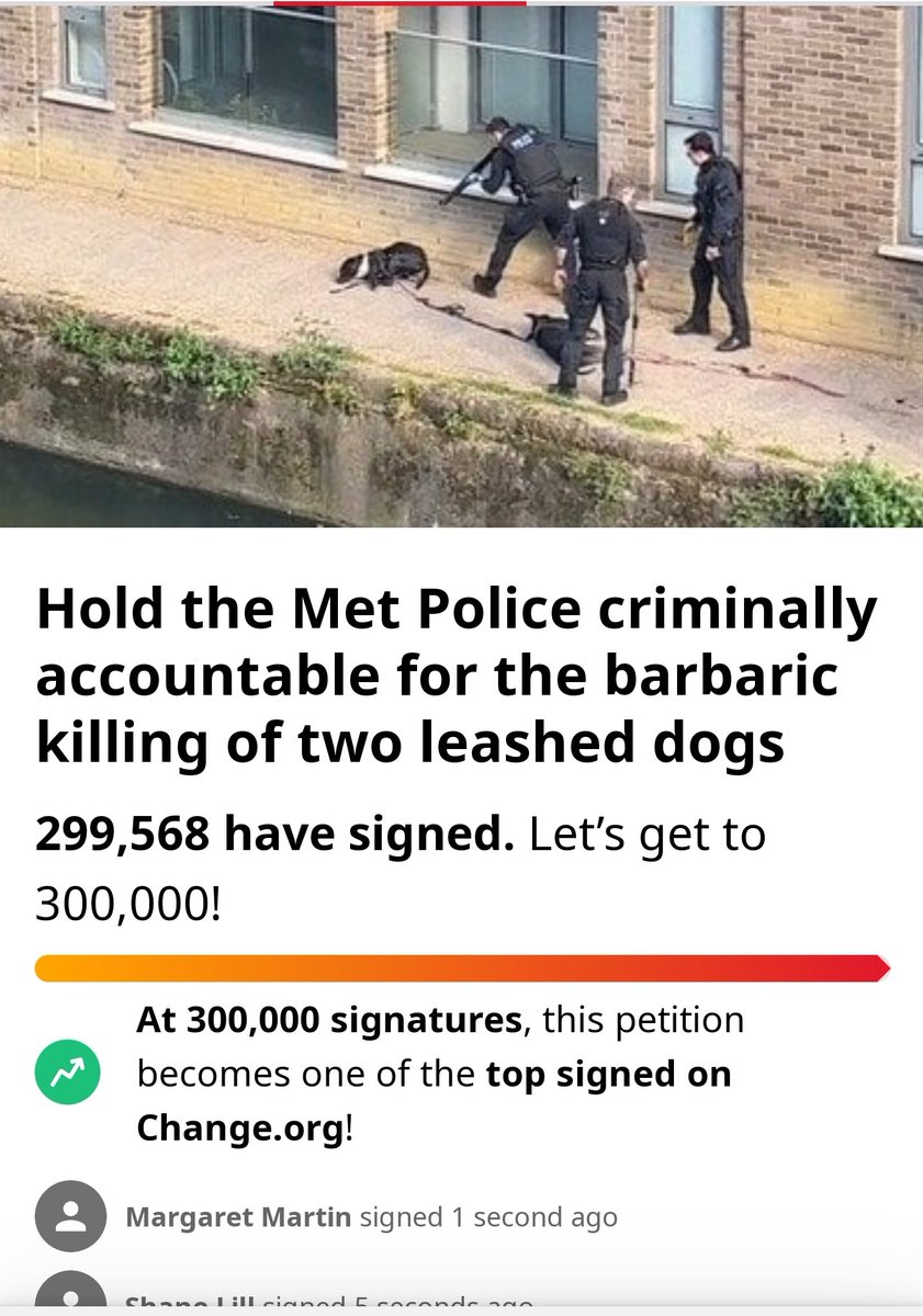 Wake up! Ⓥ🌱 tweet media