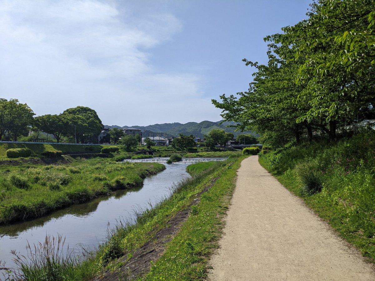 terian 💀💾🌸 tweet media