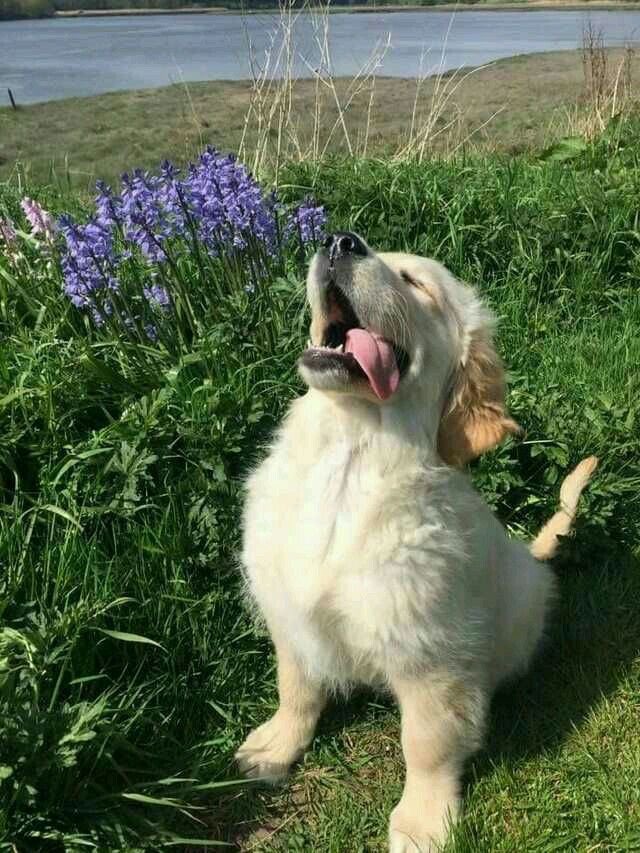 twaniimals's tweet image. 