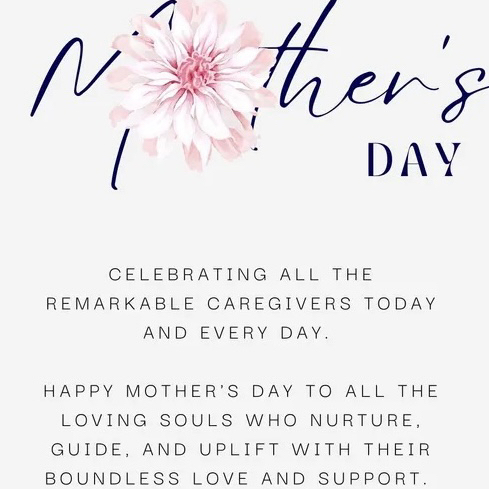 DV Safe Phone tweet media