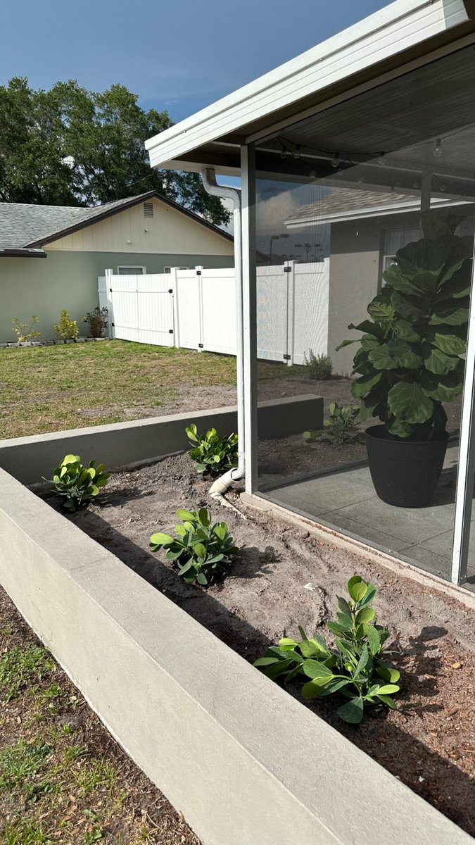 jvcobjewell's tweet photo. jetted some wells for irrigation, took wifey plant shopping, and started her a little privacy plant wall :^) https://t.co/6B0lqu1gWc