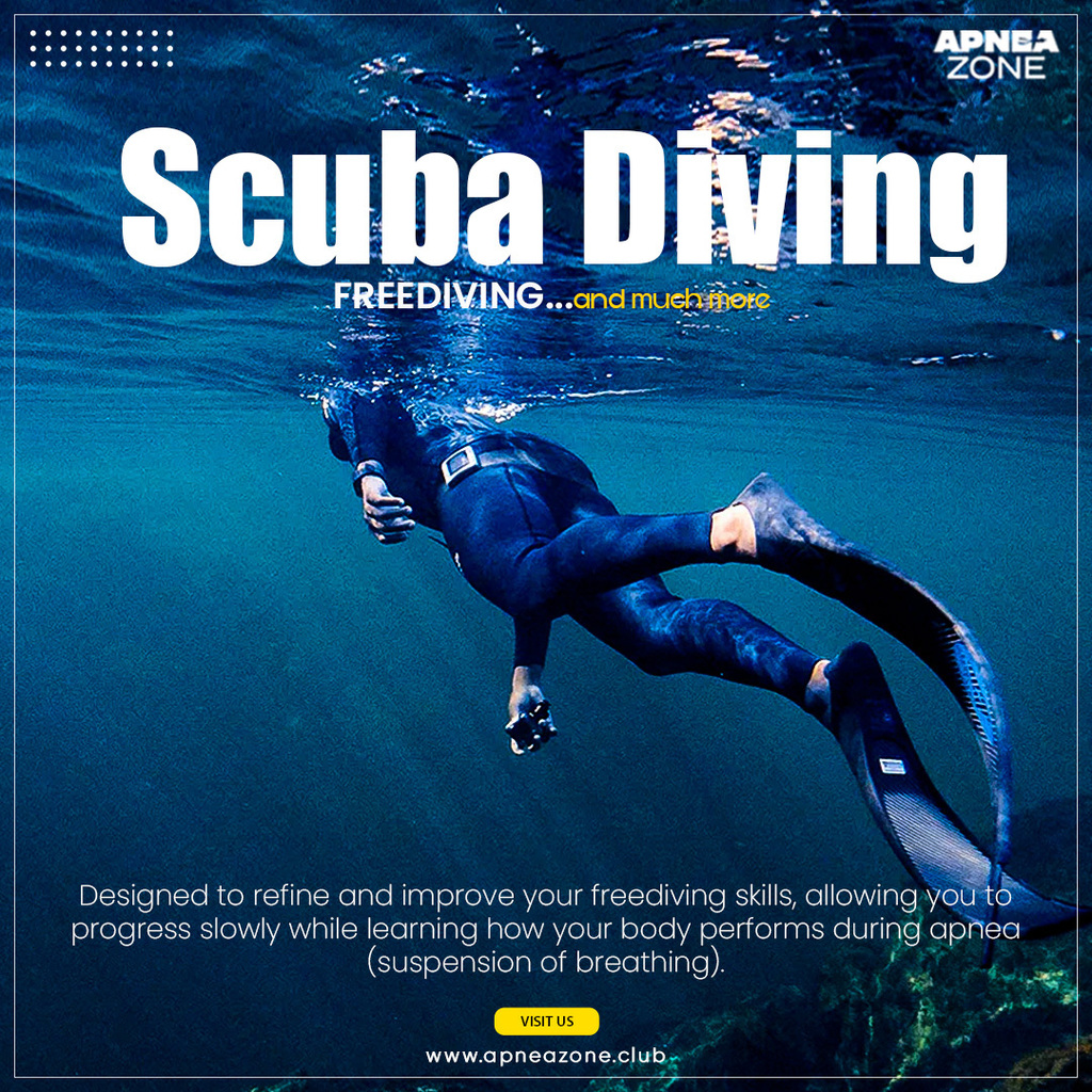 Dive o'clock PRO tweet media