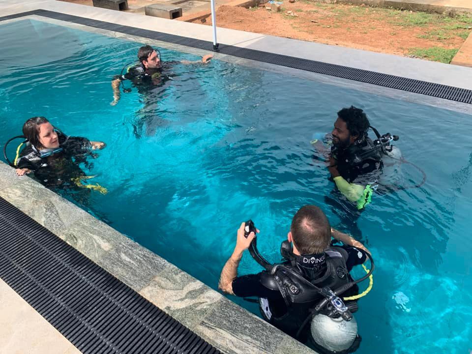 Dive o'clock PRO tweet media