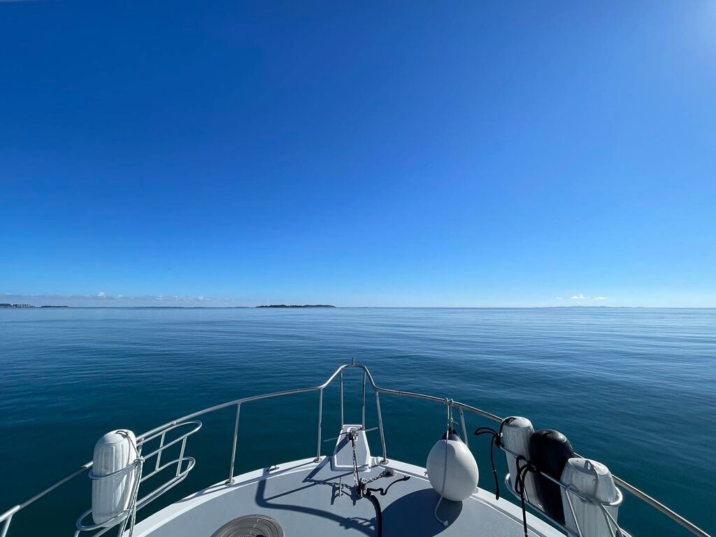 Dive o'clock PRO tweet media