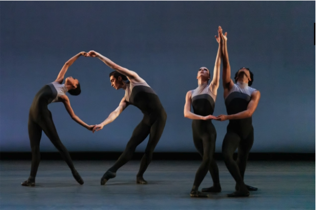 Wendy Perron tweet media