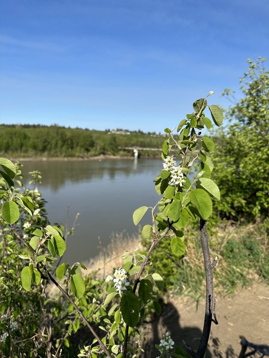 Trails today; weekend run #2 done.