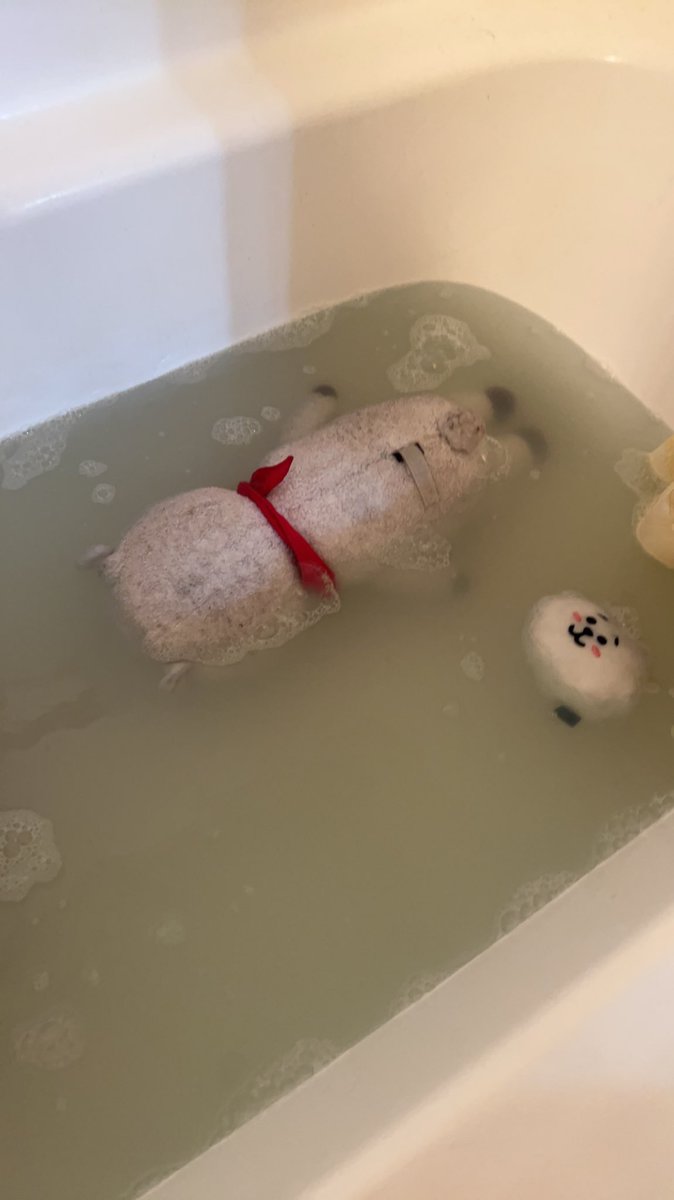 bdxjimin's tweet photo. okay im back its time for The Brush✨

look at how many juices rj secreted 🥰 https://t.co/NlIUewaDzF