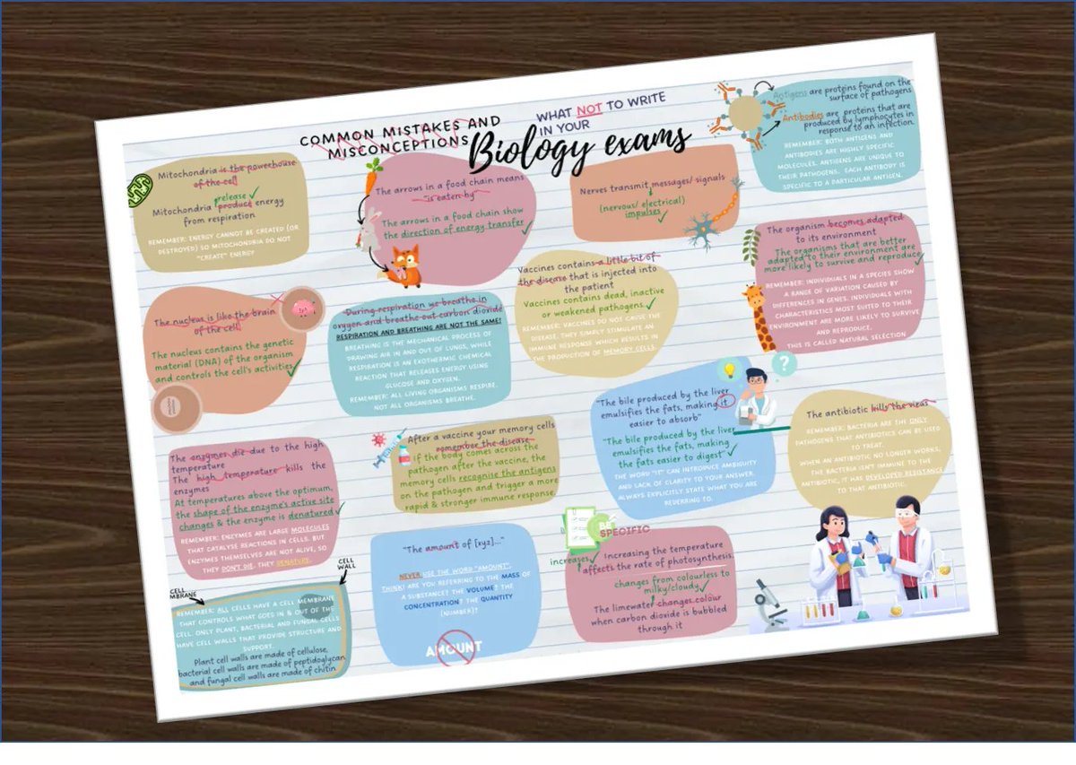 Aniqa Pirzada tweet media