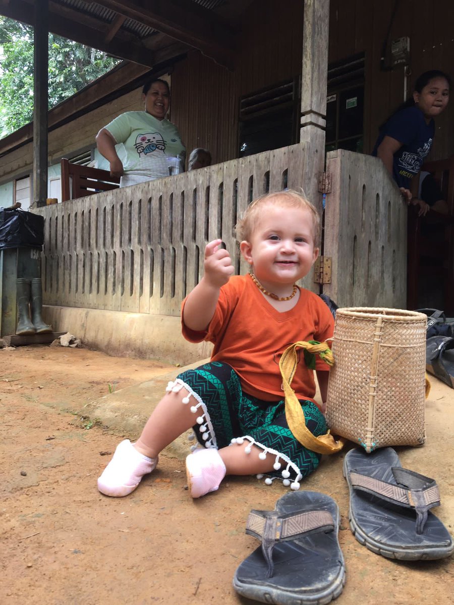 sistertour's tweet photo. See the best of #orangutantour &amp; #dayak on a family friendly tour and discover the jungle through your baby’s eyes. Your private tour includes fun activities, entertaining stories, a tasty treat, and unforgettable memories that your whole family will cherish forever #sistertour https://t.co/lMFjPcTYWo