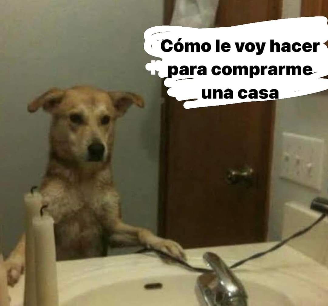 Soy_Andiie's tweet photo. Pensamiento recurrente.. https://t.co/zB4qlWWs36