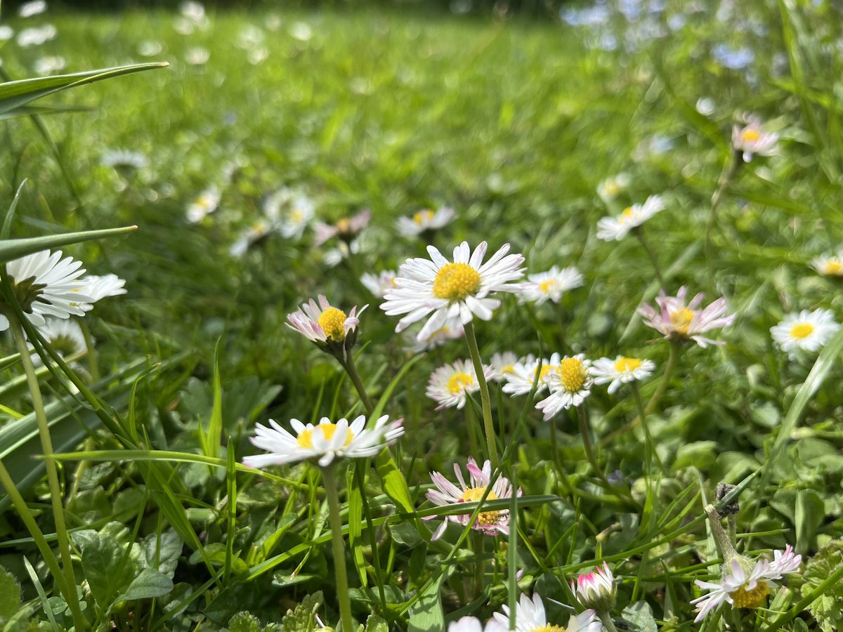 Derbyshire Wildlife Trust On Twitter RT DCWinslow Taking Part In derbyshire-wildlife-trust-on-twitter-rt-dcwinslow-taking-part-in