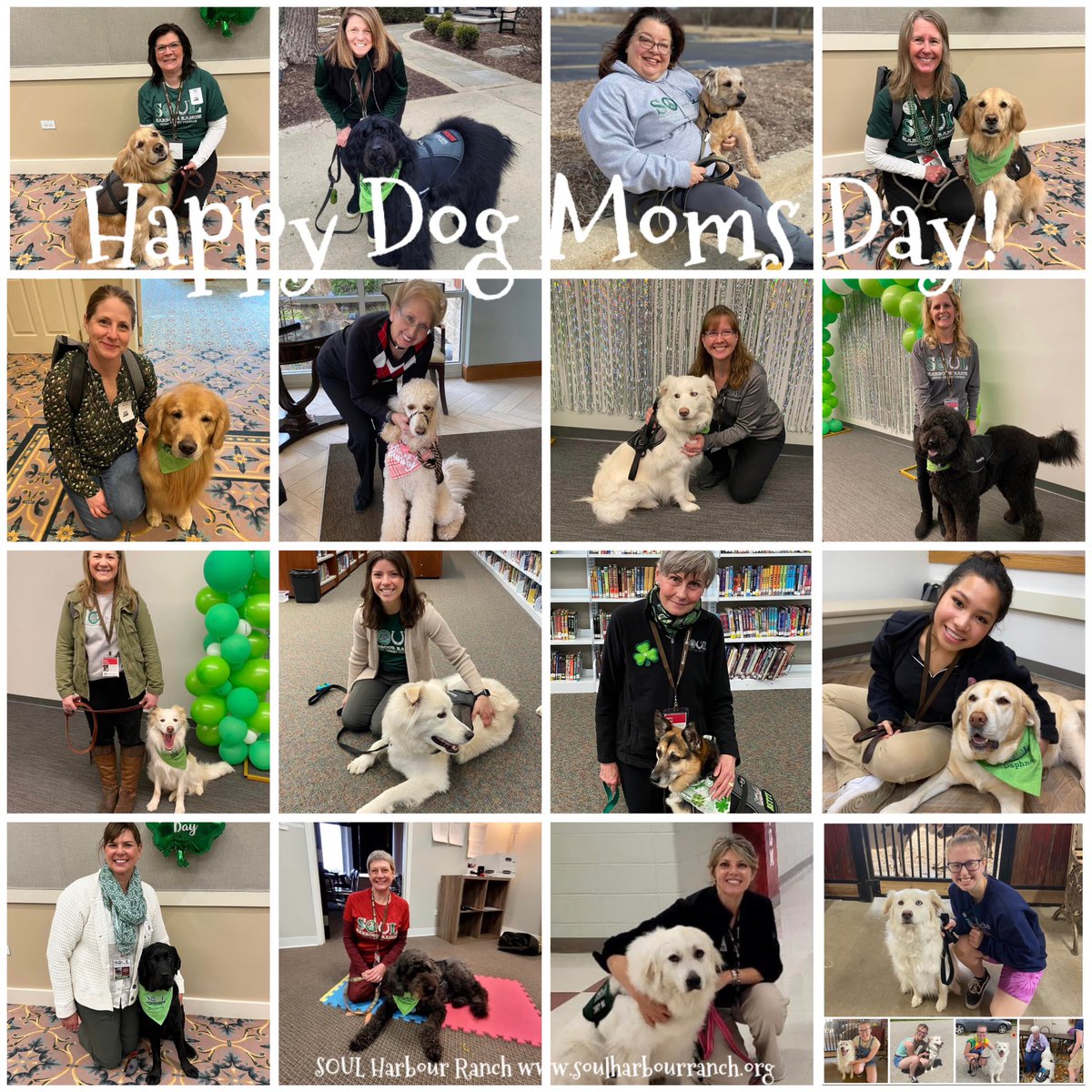 Happy Dog Moms Day to our therapy dog moms and dog moms everywhere! You are PAWSitively PAWsome! Please share your “babies” in the comments #NationalDogMomsDay #dogmomsday #dogmomsofinstagram 🐶🐾🐶🐾