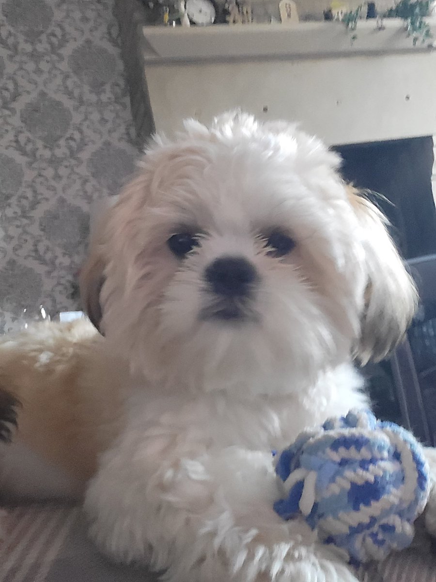 dilly_davina's tweet photo. Who is Edgar? Asking for a friend..... #Eurovision2023 https://t.co/B0f8n6ip4O