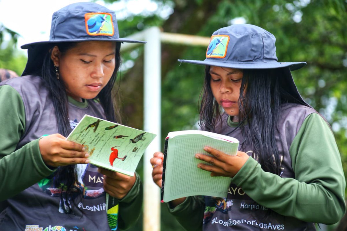 CORMACARENA's tweet photo. ¡El cantar de las aves nos guía durante el #GlobalBigDay!🐦🦅🤩
Desde la Institución Educativa Kuwei, en Puerto Gaitán, también participamos del avistamiento a nivel mundial junto a estudiantes del resguardo indígena Wacoyo.🦉🦜
#LosNiñosPorLasAves #GlobalBigDay2023 #somosmeta https://t.co/lDB71gDspm
