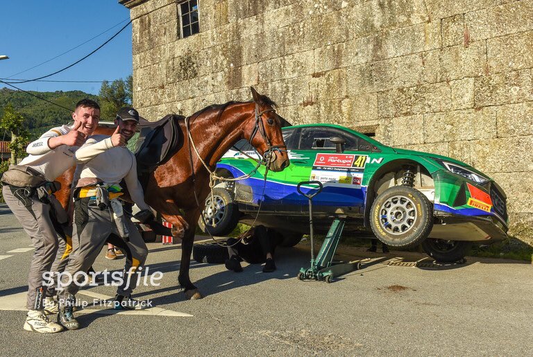 sportsfile tweet media