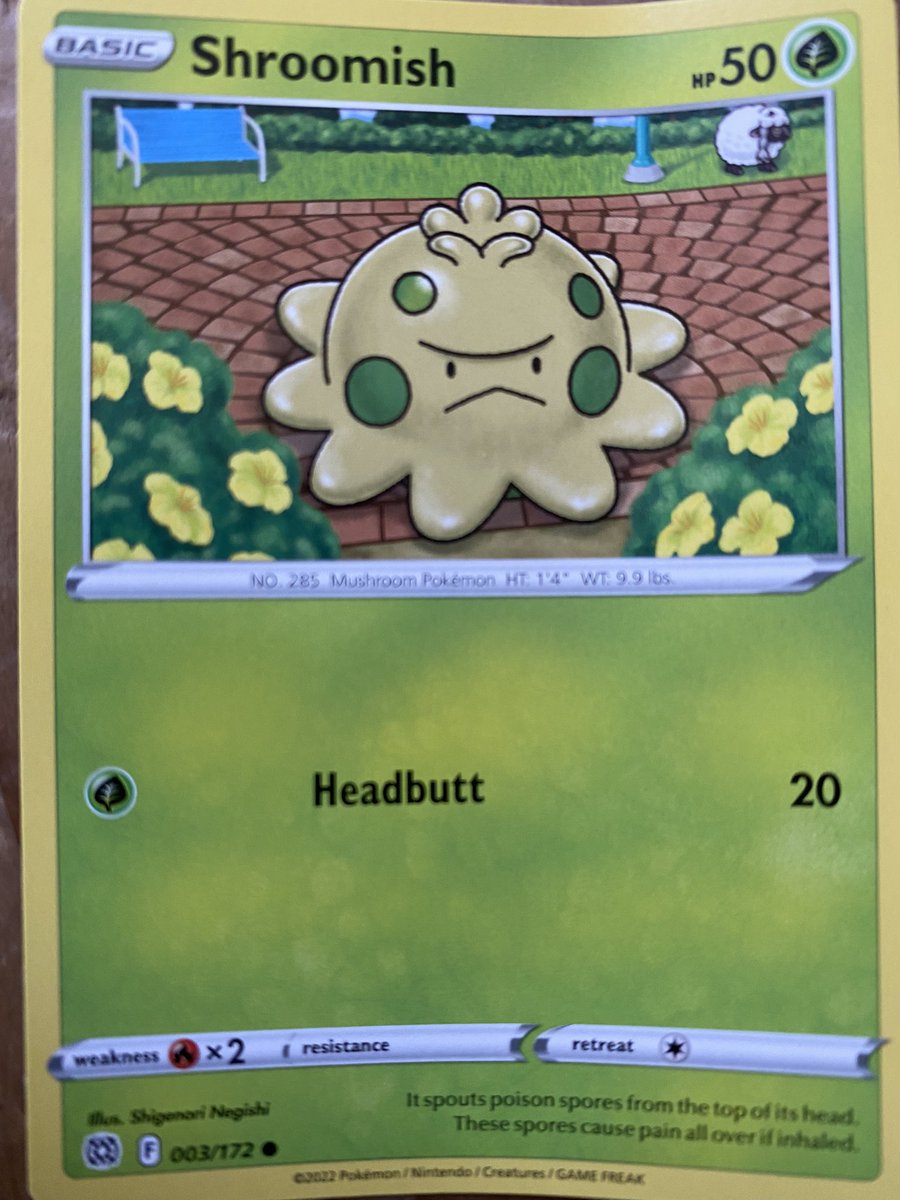 Shelf Northowram Hedge Top CC tweet media