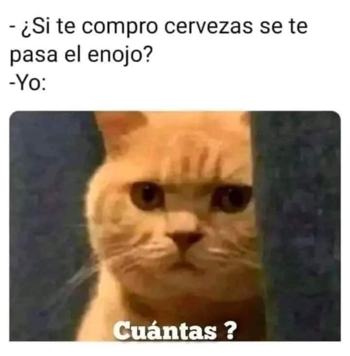 angelus_raven's tweet image. 🔴DIRECTO🔴

🍷VOLVEMOS EPICAMENTE CON UN #chupistream con buenos invitados como siempre, también estará @neela_ago 💙 🍻

💜Twitch.tv/AngelusRaven💜

#drunkstream #stream #drunk #chupi #twitch