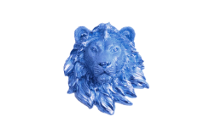 𝐃𝐈𝐌𝐈𝐓𝐑𝐈。࿓࿔ tweet media