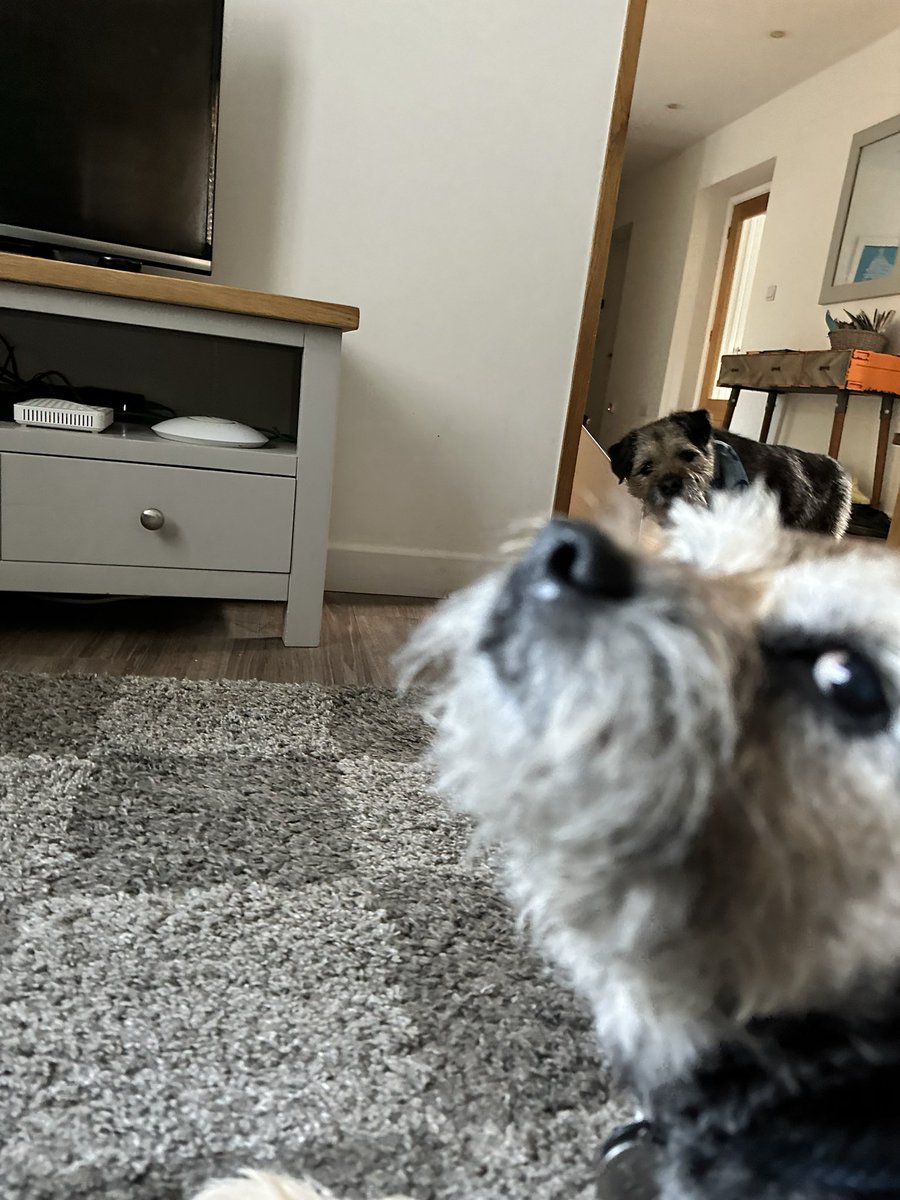 Lord Scrappy Nelson tweet media