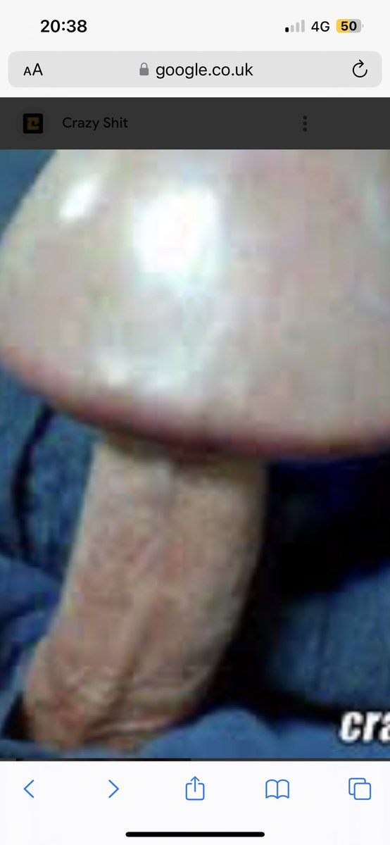 Halifax Cricket League Transfer And Rumour Mill tweet media