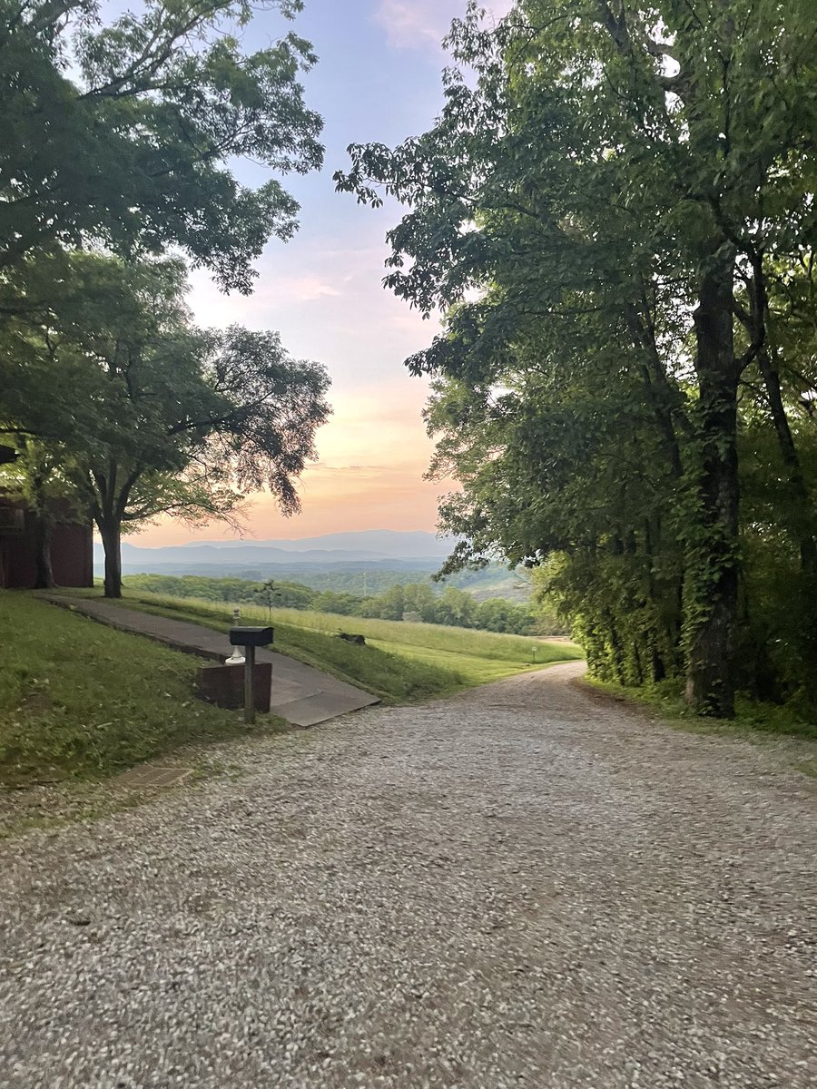 LegendofMoriah's tweet image. Standing strong in my rightful place💪🏽🌄🌳✨😌 

#Rooted #Solid #HousingHomies #BrownShortsBandits #Highlander