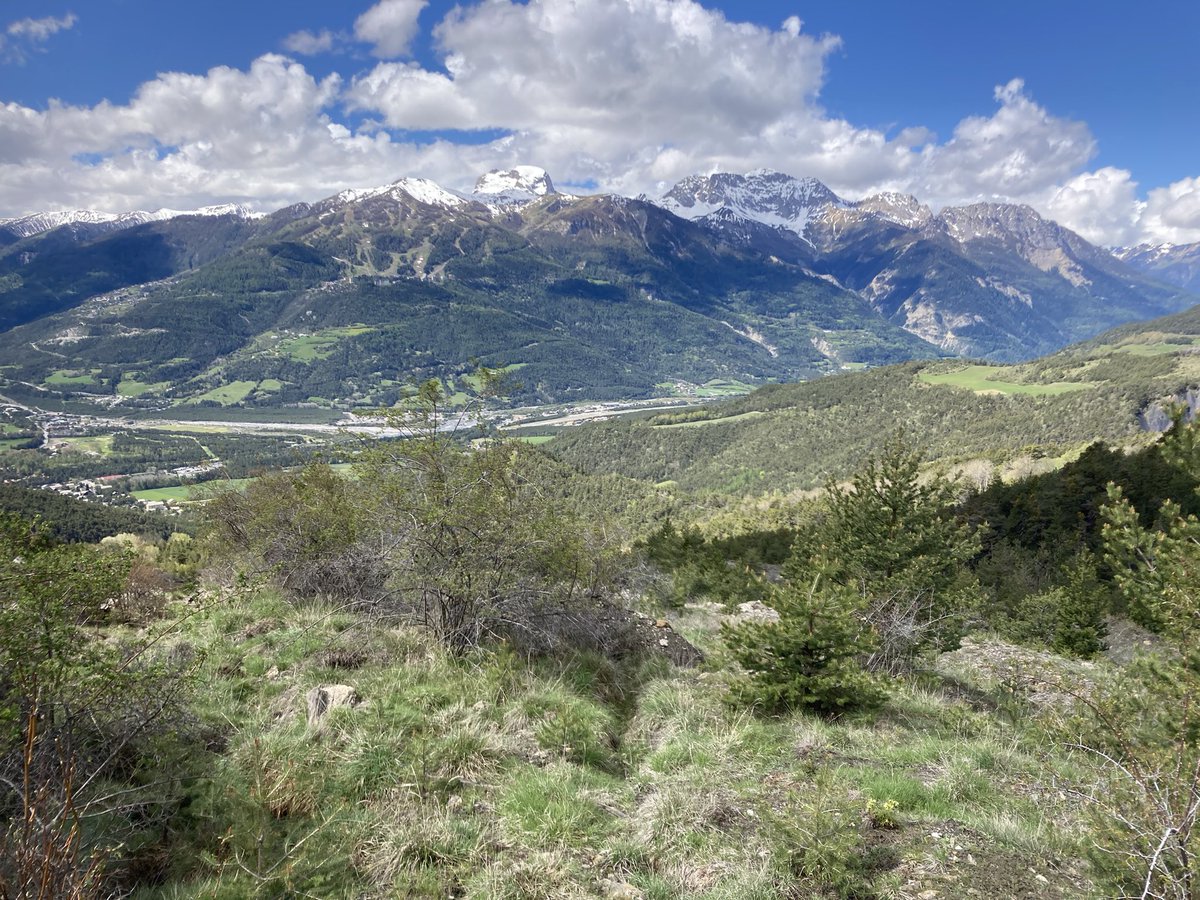 ColinTDavie's tweet photo. MSc Engineering Geology @GEST_NCL @EngineeringNCL field trip Day 4. Today we were landslide mapping, recording indicators of slope movement from boulder fields to water to curved vegetation. We also teach our students to dynamically risk assess to deal with unexpected hazards! https://t.co/s1PZBm3woV