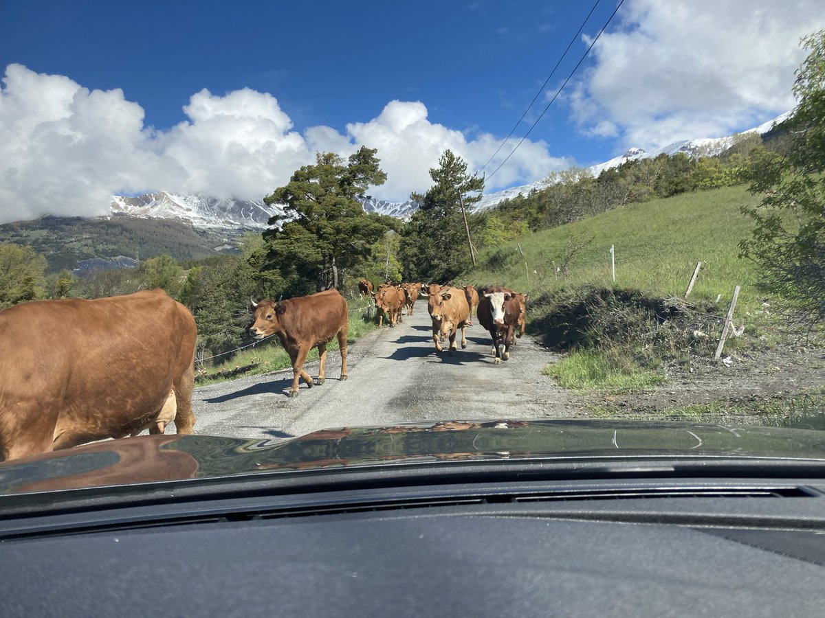 MSc Engineering Geology <a href="/GEST_NCL/">Geotechnics and Structures (GEST)</a> <a href="/EngineeringNCL/">Engineering at Newcastle</a> field trip Day 4. Today we were landslide mapping, recording indicators of slope movement from boulder fields to water to curved vegetation. We also teach our students to dynamically risk assess to deal with unexpected hazards!
