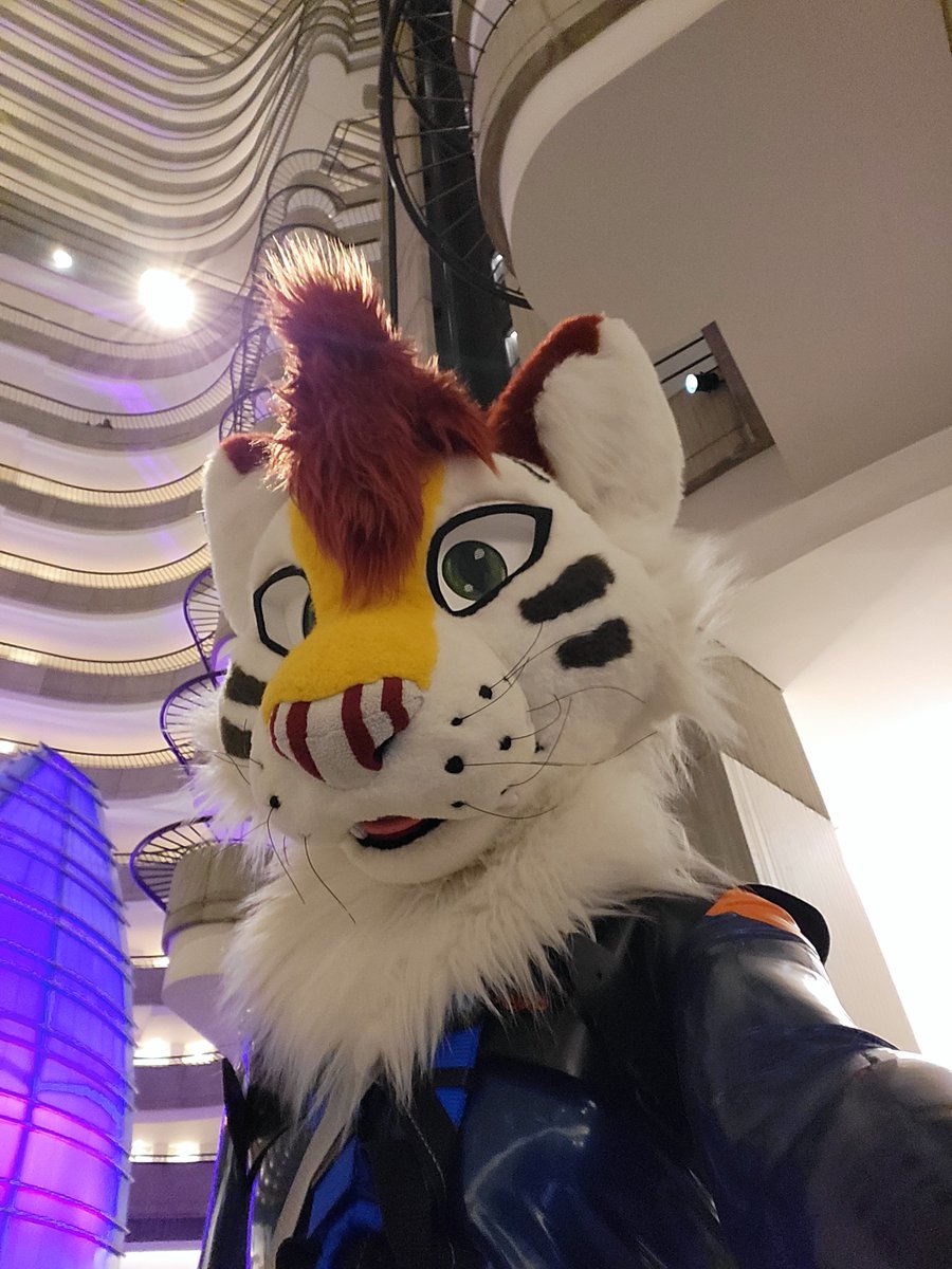 Rubber Tiger Toy tweet media