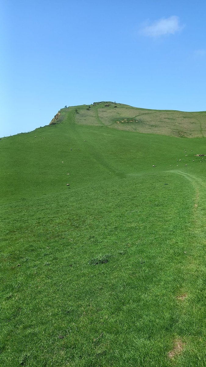 Rachel Goodfellow tweet media