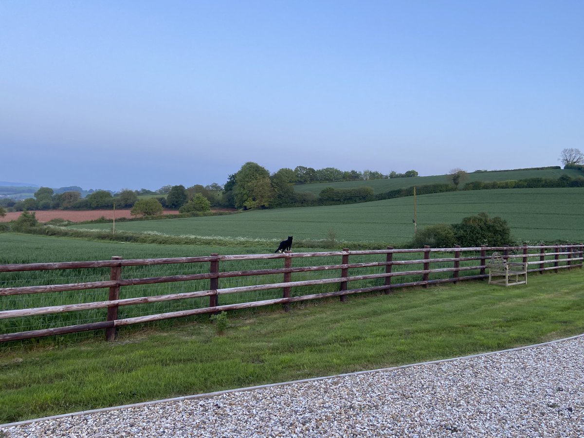 Bloody Eurovision. Goodnight.