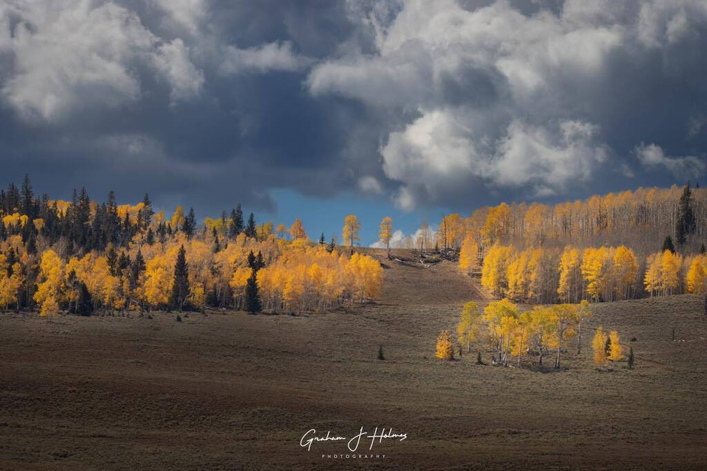 Aspens shining bright. #utah #aspentrees #fallcolors 

.
.
.

#canon #canonexploreroflight #canonusa #ShotOnCanon #adventurephotography #travelphotography #adobelightroom  #california #adobe #adobeexpress 
#grahamholmesphotography #hey_ihadtosnapthat2 #t… instagr.am/p/CsMfzRghhm5/